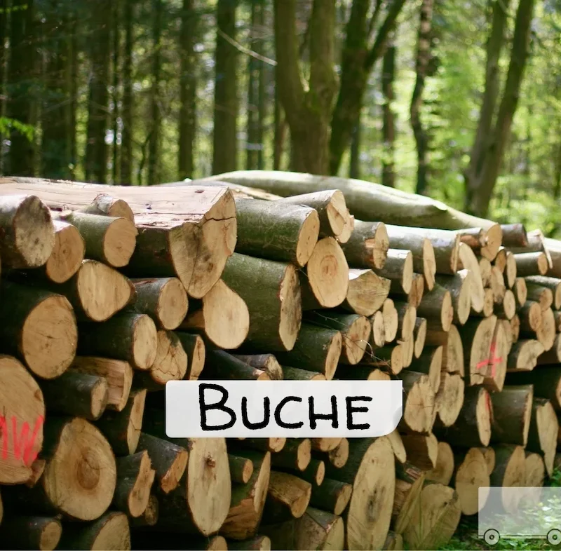 Stammholz – Buche – ganze LKW-Ladung