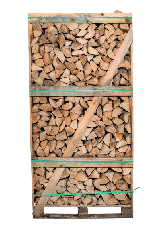 Brennholz Buche 50 cm 2 RM Palette