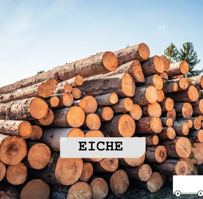 Stammholz – Eiche – ganze LKW-Ladung